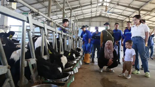 Nagita Slavina dan Cipung di peternakan (Istimewa)