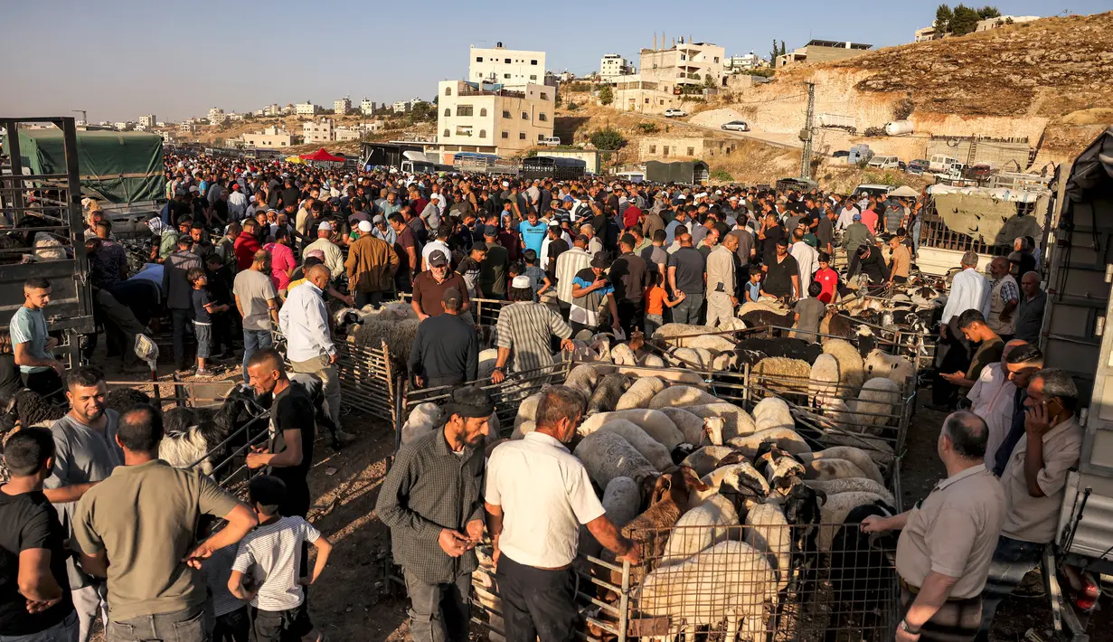 Orang-orang berbelanja hewan kurban di pasar ternak Jumat di Hebron, Tepi Barat, pada 14 Juni 2024. (HAZEM BADER/AFP)