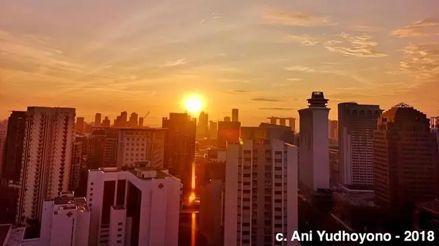 Ani Yudhoyono