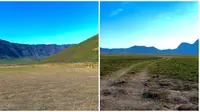 Potret Savana Bromo Kembali Menghijau. (Sumber: TikTok/@moment.story7)