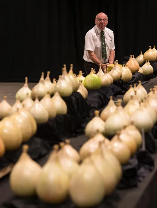 Juri menilai bawang yang diikutsertakan dalam kompetisi sayur di Great Yorkshire Showground, Harrogate, Inggris, Jumat (16/9). Kompetisi sayur ini menjadi bagian dari pameran Harrogate Autumn Flower Show yang berlangsung bulan ini. (AFP PHOTO/Oli Scarff) 