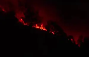 Kebakaran Kawah Ijen Memukul Sektor Wisata Banyuwangi