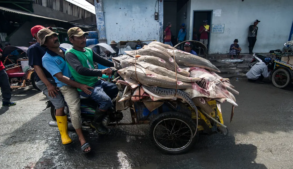 Nelayan mengendarai becak membawa tangkapannya termasuk ikan hiu di sebuah TPI di Brondong, Lamongan, Jawa Timur, Senin (13/3). Meski pemerintah melarang, perburuan ikan hiu masih marak dilakukan nelayan perairan Jawa Timur. (AFP Photo/Juni Kriswanto)