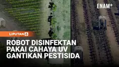Robot self-driving ini merawat anggur dan stroberi dengan menggunakan cahaya UV, bukan pestisida. Penyinaran cahaya UV ini tujuannya untuk membunuh jamur tanpa harus menyemprotkan bahan kimia.