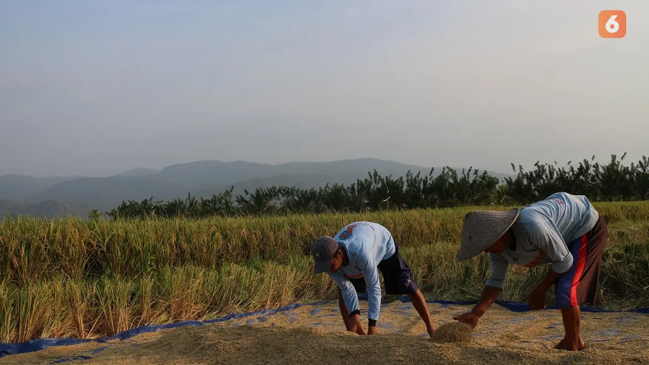 Petani di Desa Dakaino