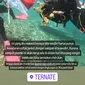 Niat hati kibarkan bendera merah putih di bawah laut, Prilly Latuconsina salah fokus karena banyak sampah plastik. (dok. Instagram Story @prillylatuconsina96)