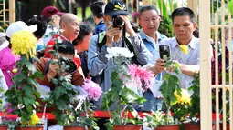 Orang-orang mengabadikan foto bunga krisan di sebuah pameran di Fuzhou, ibu kota Provinsi Fujian, China pada 3 November 2020. Lebih dari 20.000 pot bunga krisan dari 1.000 lebih varietas dipertunjukkan dalam sebuah acara pameran di Taman Danau Barat di Fuzhou pada Selasa (3/11). (Xinhua/Wei Peiquan)