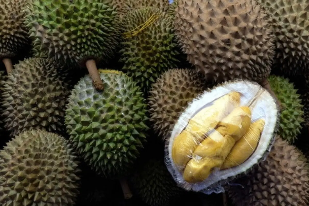 Ilustrasi durian (AFP)