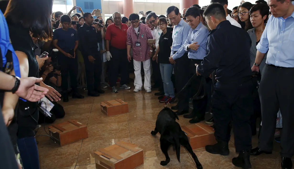 Aktor laga asal Hong Kong Jackie Chan melihat demonstrasi anjing pelacak saat peluncuran aplikasi mobile game anti-narkoba 'Aversion', Singapura, Kamis (7/5/2015). Aplikasi ini sebagai kepedulian tentang bahaya penyalahgunaan narkoba. (Reuters/Edgar Su)