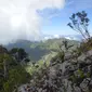Gunung Ambeso di Tana Toraja, Sulawesi Selatan. (Dok: Gunung Bagging&nbsp;https://www.gunungbagging.com/ambeso/nggallery/page/2)