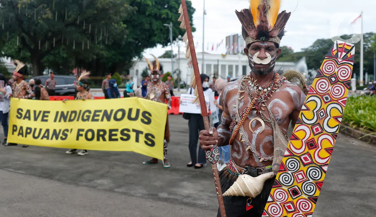 Sejumlah masyarakat adat suku Awyu melakukan unjuk rasa di depan Istana Merdeka, Jakarta, Kamis (11/5/2023). Masyarakat adat suku Awyu dari Boven Digoel, Papua Selatan, tersebut meminta pemerintah mempertahankan hutan adat yang terancam oleh konsesi sejumlah perusahaan sawit di daerah itu. (Liputan6.com/Angga Yuniar)