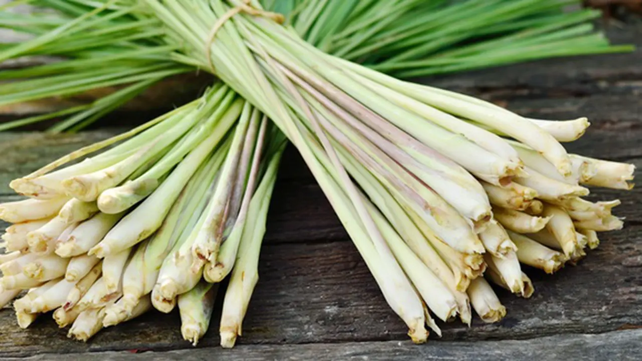 Photo: Copyright savingdinner.com