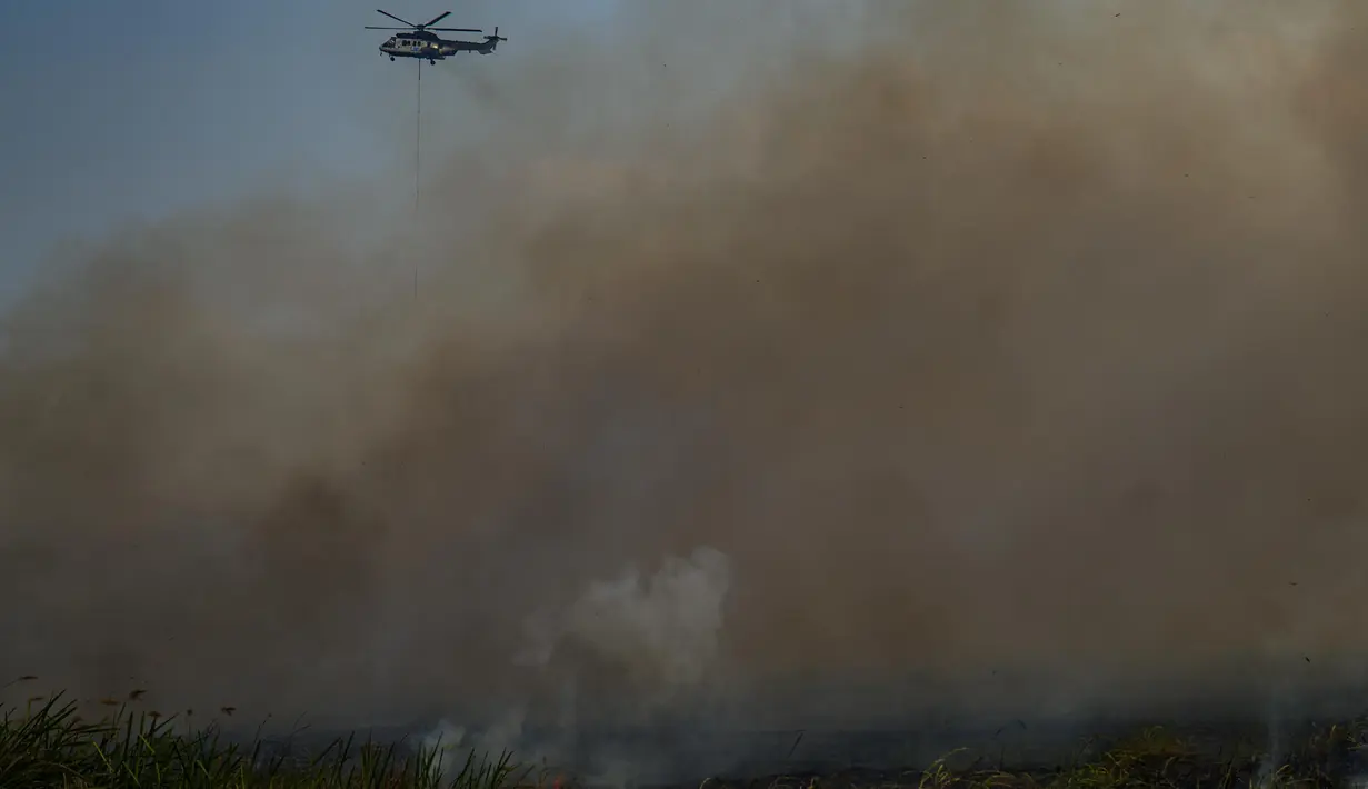 Dari beberapa titik kebakaran yang terpantau sejak Kamis (25/9/2025), tiga masih menyala hingga Sabtu (27/9/2025). (AL ZULKIFLI/AFP)