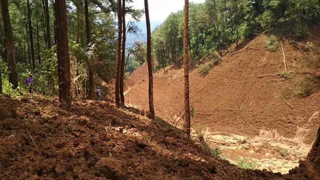 Tak Sampai 20 Menit, Longsor Brebes Hancurkan Jalan dan Hutan Pinus