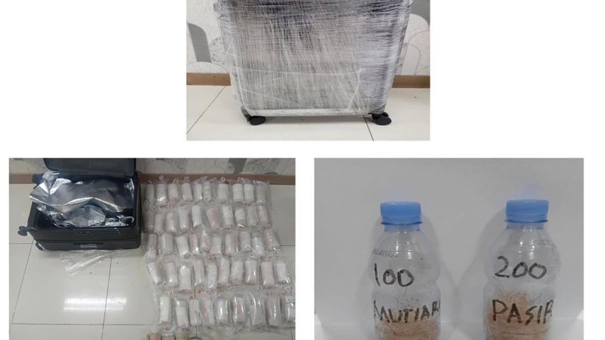 Begini Modus Penyelundupan 37 Ribu Benih Lobster Senilai Rp 2 Miliar ke Singapura