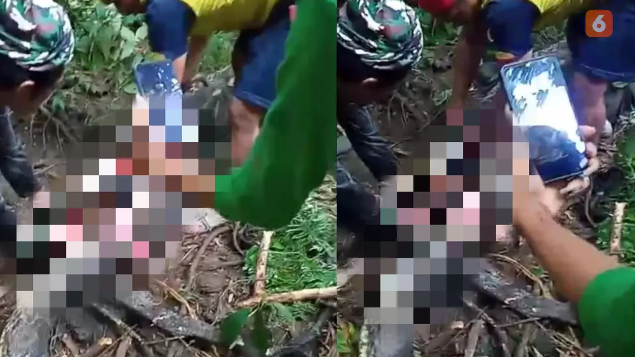 Warga belah perut ular piton yang telan wanita di Sidrap (Liputan6.com/Fauzan)