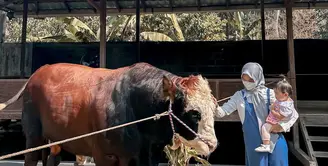 Tidak lama lagi, umat Muslim akan merayakan hari raya Idul Adha. Mendekati hari tersebut, beberapa artis sudah mulai mencari sapi yang akan dijadikan sebagai hewan kurban. Salah satunya Ria Ricis. [Instagram/riaricis1795]