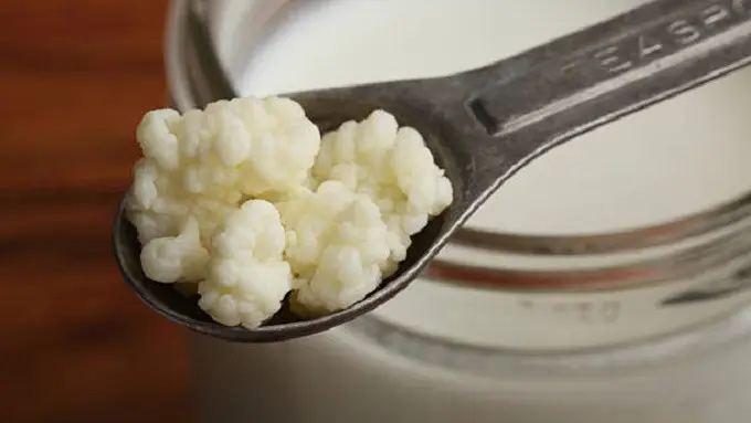 Kefir