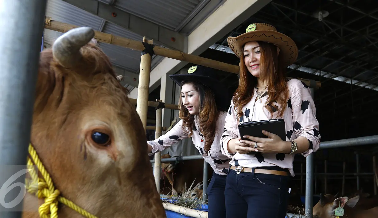 Sejumlah wanita cantik berpakaian ala koboi  siap layani calon pembeli di Mall Hewan Qurban milik Haji Doni di kawasan Depok, Jawa Barat, Selasa (8/9/2015). Kehadiran mereka untuk menarik calon pembeli hewan qurban. (Liputan6.com/Yoppy Renato) 