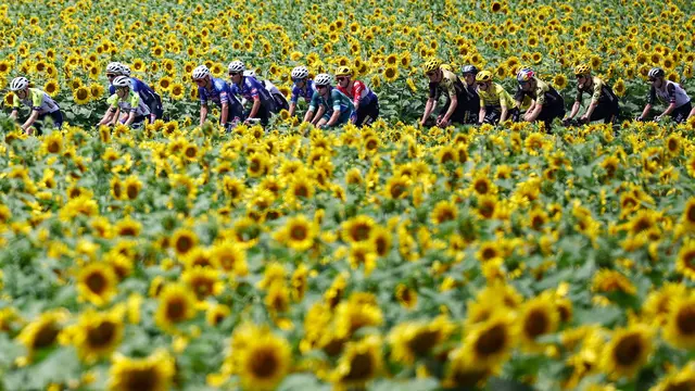Foto: Menikmati Keindahan Jalur Balapan Sepeda Tour de France 2023