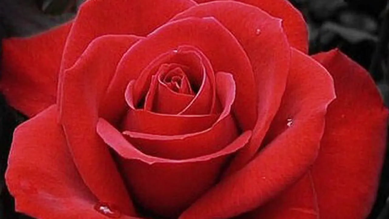 131130amawar.jpg