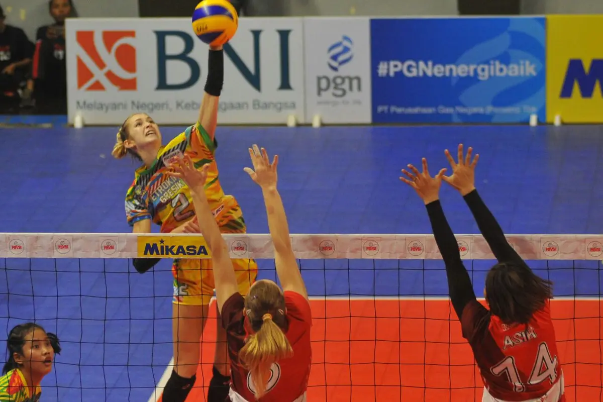 Proliga 2017