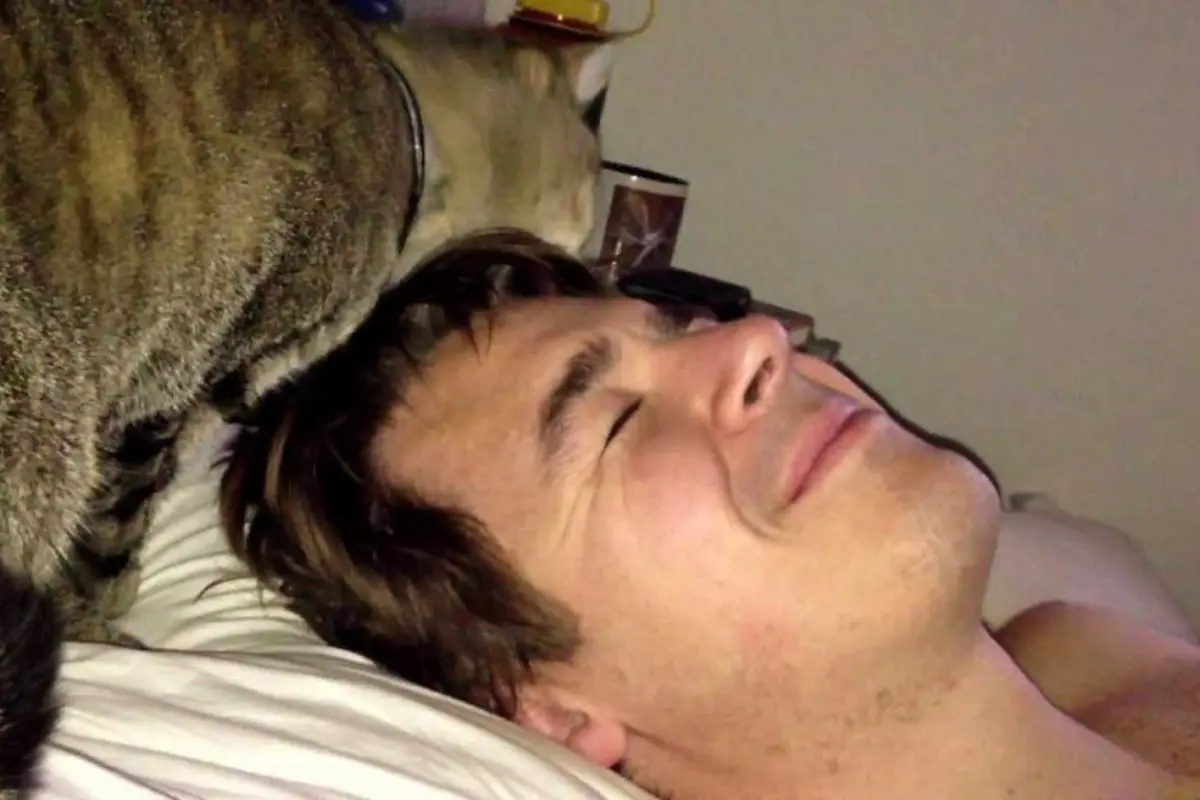 Alarm Kucing, Cara Bangun Pagi Terbaik untuk Umat Manusia
