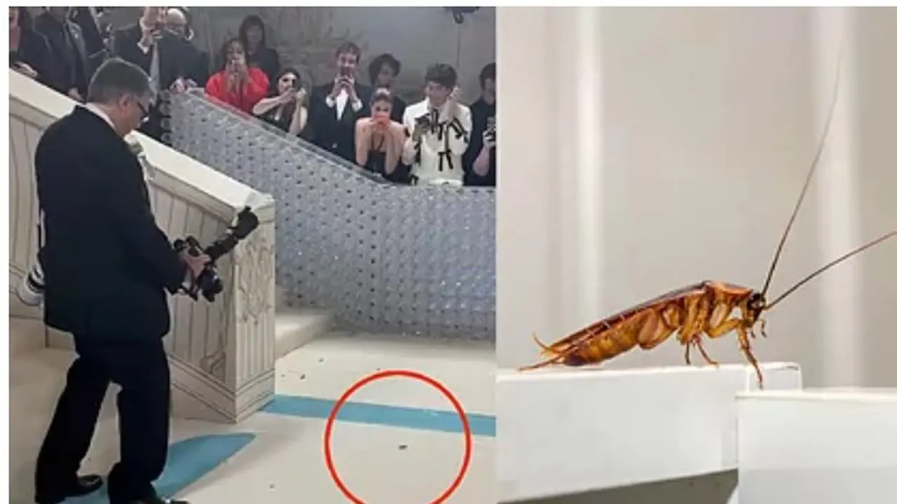 Kehadiran kecoa di acara Met Gala 2023 (Tangkapan layar dari website amp.marca.com)