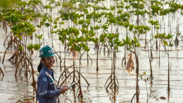 Holding Tambang Indonesia menjalankan sederet Program Dekarbonisasi