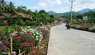 12 Tanaman yang Cocok untuk Pinggir Jalan Cor Desa, Tahan Panas dan Mudah Dirawat