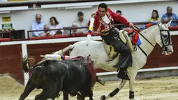 Matador berkuda Kolombia Willy Rodriguez tampil selama adu banteng di arena adu banteng Canaveralejo dalam rangka Festival Cali di Cali, Kolombia (27/12/2022). (AFP/Joaquin Sarmiento)