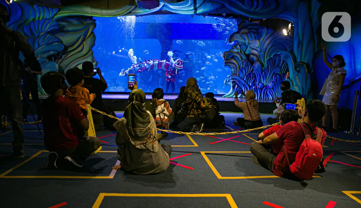 Pengunjung menyaksikan pemain Liong beratraksi di Jakarta Aquarium & Safari (JAQS), Jakarta Barat, Jumat (12/2/2021). Pertunjukan Liong Show bawah air yang diikuti oleh para putri duyung tersebut untuk memeriahkan Hari Raya Imlek 2572 atau Tahun Baru China. (Liputan6.com/Faizal Fanani)
