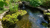 7 Ide Kolam Ikan Kecil di Halaman Sekaligus Pengendali Nyamuk Alami yang Estetik