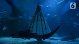 Ikan-ikan melintasi pohon Natal yang terbuat dari bahan daur ulang di Jakarta Aquarium dan Safari, Sabtu (19/12/2020). Jakarta Aquarium dan Safari menghias pohon Natal dari bahan daur ulang mulai 20-27 Desember 2020 untuk memperingati perayaan Natal. (merdeka.com/Imam Buhori)
