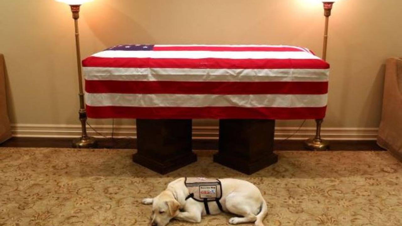 Sully (Foto: Twitter @jgm41)