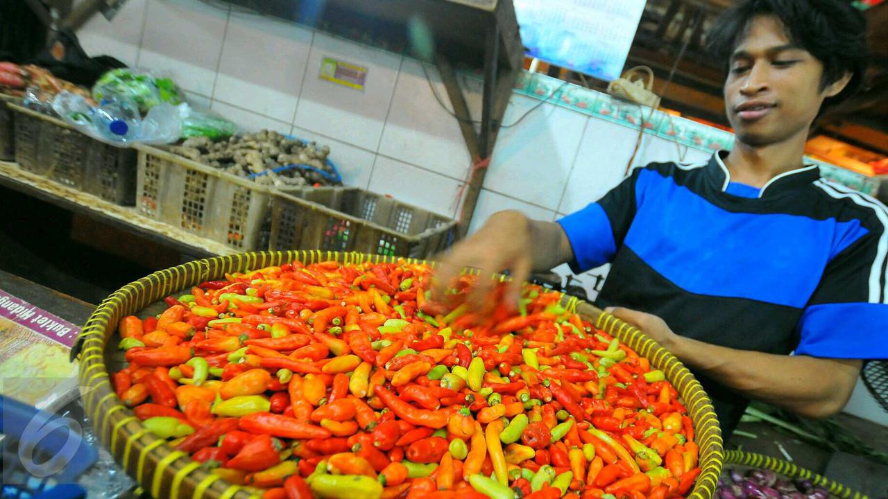 Harga cabai