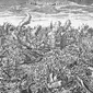 Gempa bumi Lisbon 1755. (Sumber Wikimedia Commons untuk ranah publik)