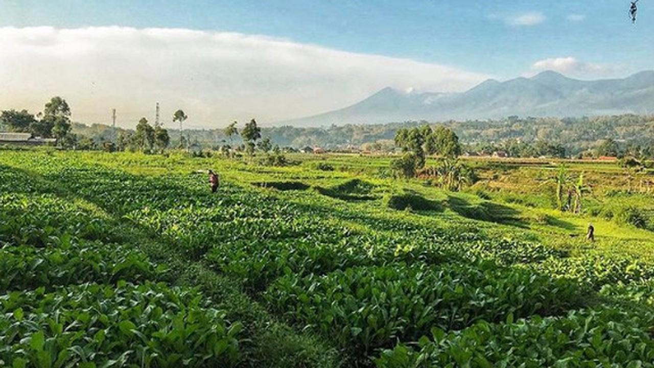 Jawara Desa Brilian 2021 Tahap 1, Ini Dia Potensi dan Inovasi Desa Sukalaksana