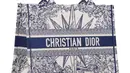 Tas Dior Book jadi salah satu objek hasrat kreasi Maria Grazia Chiuri yang ditampilkan dalam suasana memesona