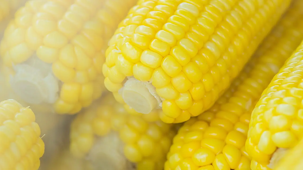 [Fimela] jagung