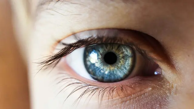 Eyes