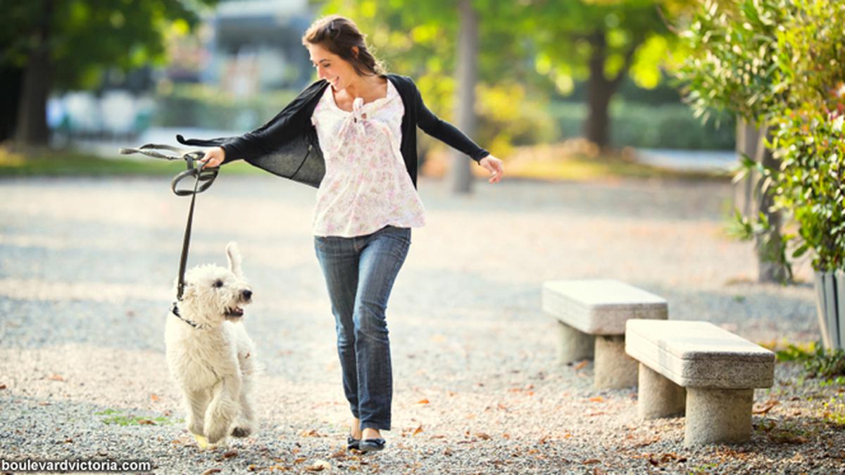 Sedang Jomblo? Habiskan Saja Waktu dengan Hewan Peliharaan! Health