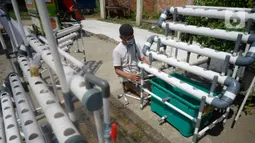 Jalan Raya Parung-Gunung Sindur, Bogor, Jawa Barat, Jumat (21/08/2020). Rakitan pipa PVC hidroponik dan ditambah mesin pompa air dijual dengan harga Rp 475 Ribu hingga Rp 1.3 Juta tergantung ukuran. (merdeka.com/Dwi Narwoko)
