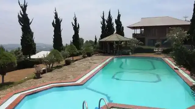 The Anty Resort