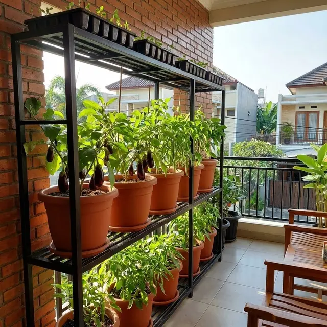 Desain Balkon Rumah yang Bisa Jadi Kebun Sayur Mini