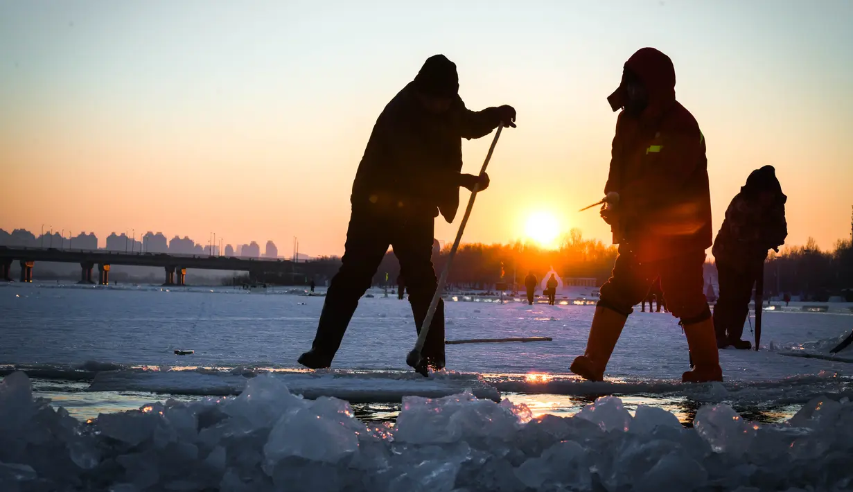 Sejumlah pekerja mengumpulkan es dari Sungai Songhua di Harbin, ibu kota Provinsi Heilongjiang, China timur laut (7/12/2020). Bongkahan es yang dikumpulkan dari Sungai Songhua yang membeku itu akan digunakan sebagai dekorasi kota tersebut. (Xinhua/Wang Song)