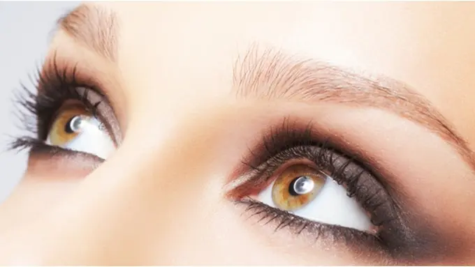 Foto: copyright shutterstock.com