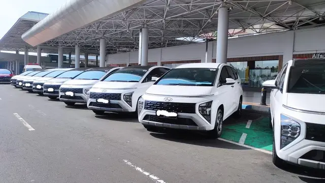 Hyundai Stargazer