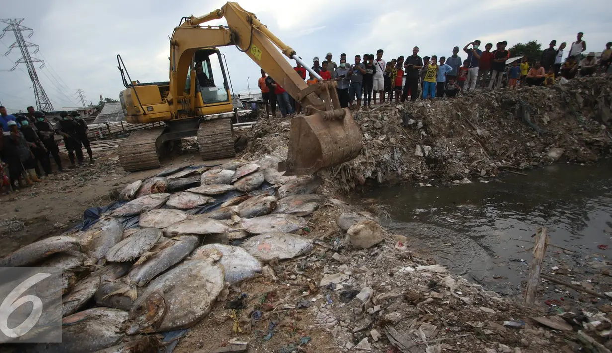 Dinas Kelautan Pertanian dan Ketahanan Pangan (KPKP) DKI Jakarta bersama Polres Pelabuhan Tanjung Priok memusnahkan 5 ton ikan laut yang mengandung formalin, Muara Angke, Jakarta, Jumat (17/6). (Liputan6.com/Immanuel Antonius)