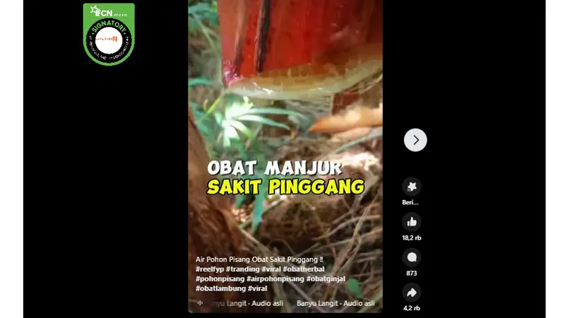 Tangkapan layar klaim air batang pohon pisang obat manjur sakit pinggang